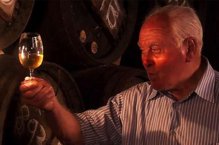 Lee más sobre el artículo Se ha presentado en Madrid el documental ‘Las catedrales del vino’, un tributo a la cultura vitivinícola en Rioja y Jerez