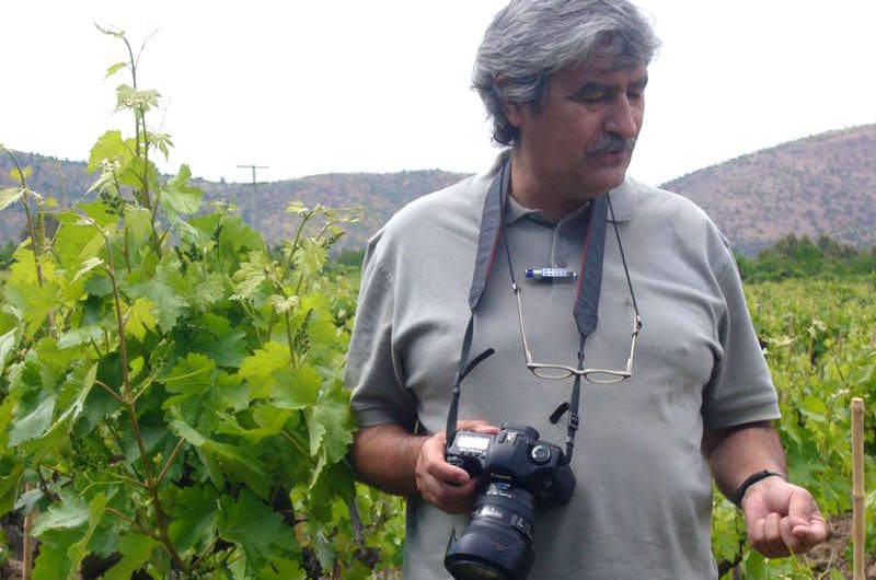 En este momento estás viendo Entrevista a Luis Vicente Elías: «Es un error haber separado las rutas del vino de Rioja Alavesa y Rioja Alta»