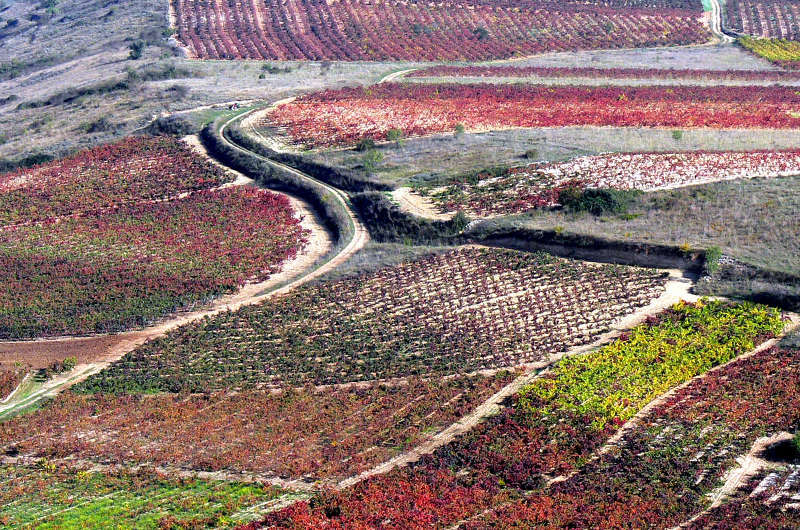En este momento estás viendo El Gobierno de La Rioja pone en marcha una ruta de enoturismo por las localizaciones de la serie de TVE ‘Gran Reserva’