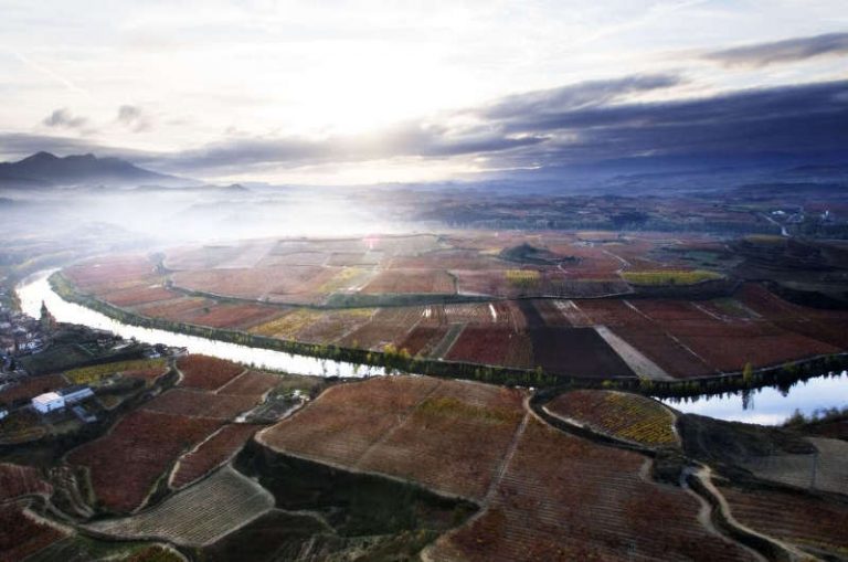 Lee más sobre el artículo Miradores de viñedos en la DOC Rioja