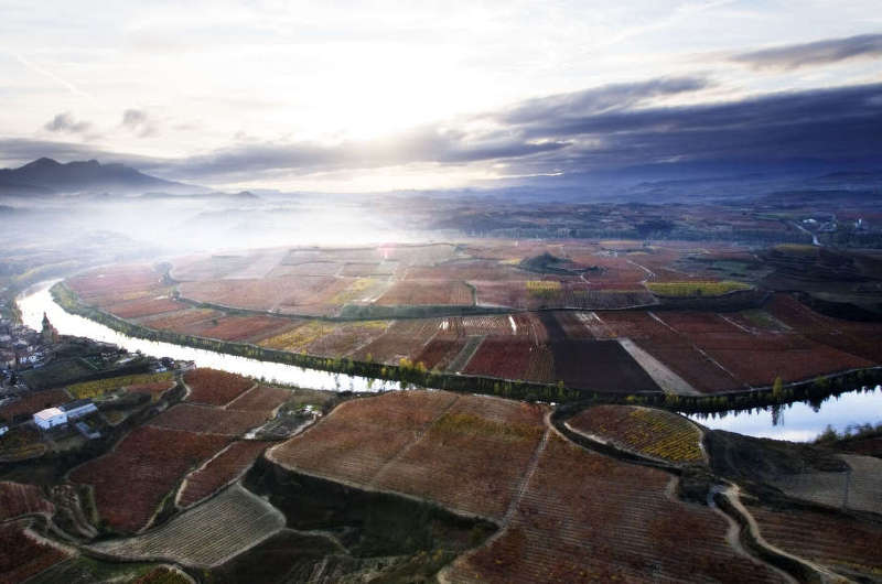 En este momento estás viendo Miradores de viñedos en la DOC Rioja