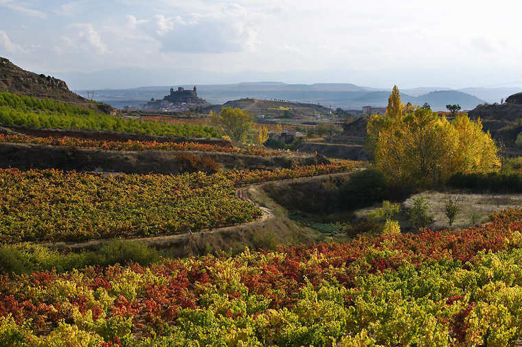 Viñedos en otoño, San Vicente de la Sonsierra (Rioja Alta). © Rafael López-Monné