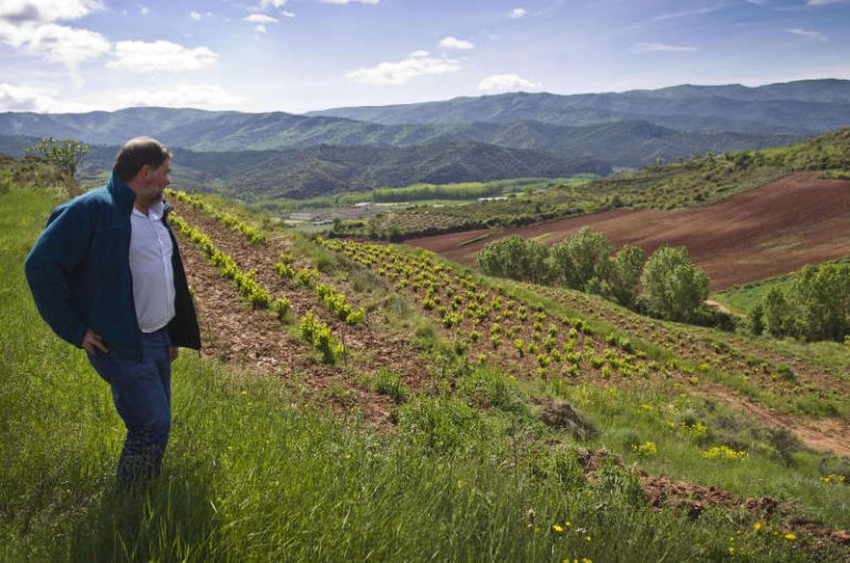 Lee más sobre el artículo Entrevista a Juan Carlos Sancha: «Habría que pagar a los viticultores para que conserven sus viñas viejas, no para que las arranquen»