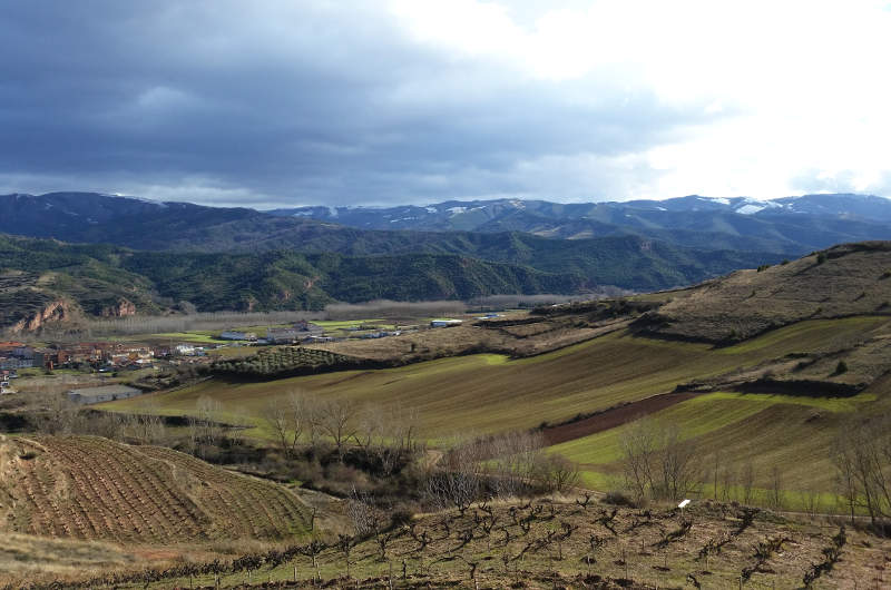 Vista de la sierra de La Demanda desde Cerro La Isa, viña ecológica en Baños de Río Tobía (La Rioja).