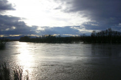 Alfaro, sotos del Ebro. © David Torres