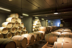 Bodega Contador, sala de crianza