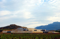 Bodega Contador, vista general