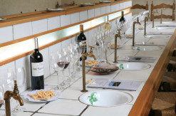 Bodega Cosme Palacio, sala de catas