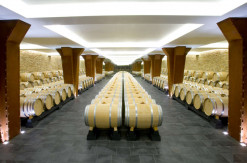 Bodega Vivanco, sala de fermentación maloláctica