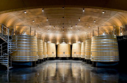 Bodega Vivanco, tinos de roble