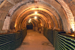 Bodegas Amézola de la Mora, calado