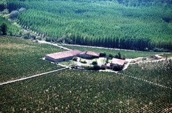 Bodegas Amézola de la Mora, vista panorámica