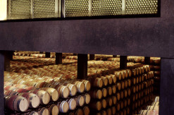 Bodegas Campo Viejo, nave de crianza