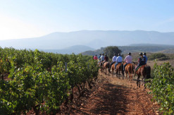 Bodegas Corral, paseos a caballo