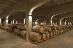Bodegas David Moreno, nave de crianza