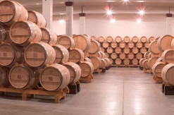 Bodegas Remírez de Ganuza, nave de crianza