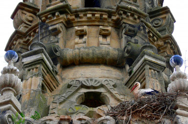 Catedral de Santa María de la Redonda, Logorño. © Carlos Sieiro del Nido
