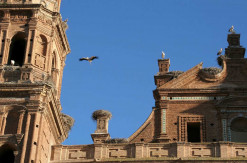 Colegiata de San Miguel, Alfaro. © Michel Lagarde (1)