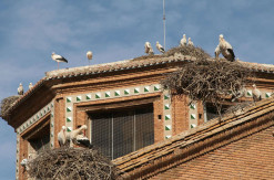 Colegiata de San Miguel, Alfaro. © Michel Lagarde (3)