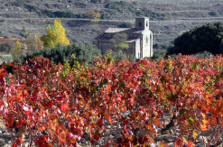 Ermita de Santa María de la Piscina, viñedos