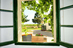 Finca La Emperatriz, vista desde el wine bar