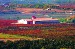 Finca Valpiedra, vista panorámica
