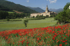 Monasterio de Yuso, campo de amapolas