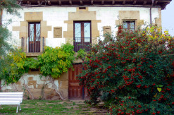 Torremontalbo. © Carlos Sieiro del Nido